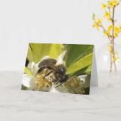 Carte Abeille en fleur orange (Fleur jaune)