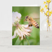 Carte Abeille en vol sur du trèfle blanc (Fleur jaune)