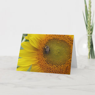 Carte Abeille S'installe
