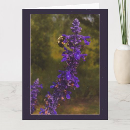 Carte abeille sur lavande  (Devant)