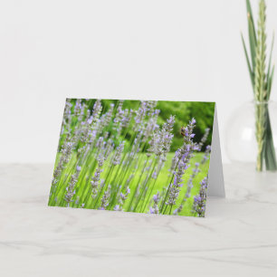 Carte Abeille sur Lavender Summer Floral