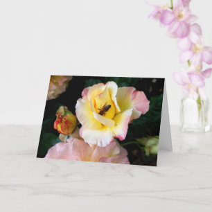 Carte Abeille sur roses rose jaune Fleurs