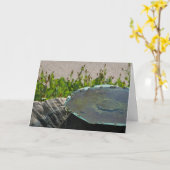 Carte Abeilles à boire, Phoenix, Arizona (Fleur jaune)