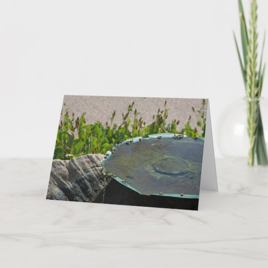 Carte Abeilles à boire, Phoenix, Arizona (Devant)