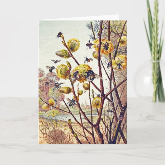 Carte Abeilles vintage Insectes Printemps Fleur de Saule (Devant)