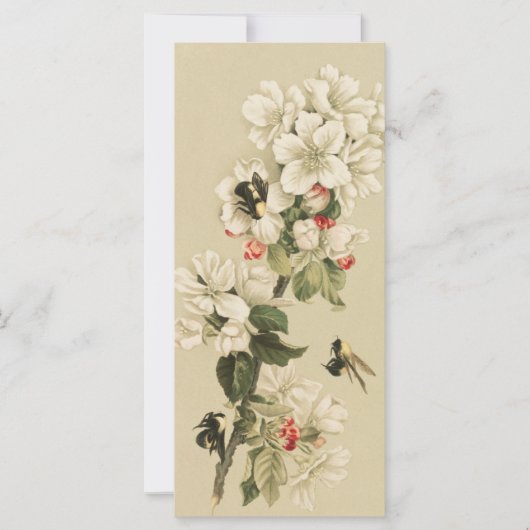 Carte Abeilles vintages (Devant)