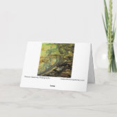 Carte "Above a Beaver Dam II" Abstractly Enhanced Pond (Dos)