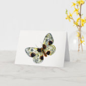 Carte Abraxas sylvata - La papillon de papillon (Fleur jaune)