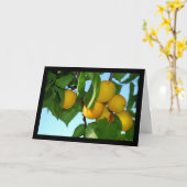 Carte Abricots dans le ciel bleu (Fleur jaune)