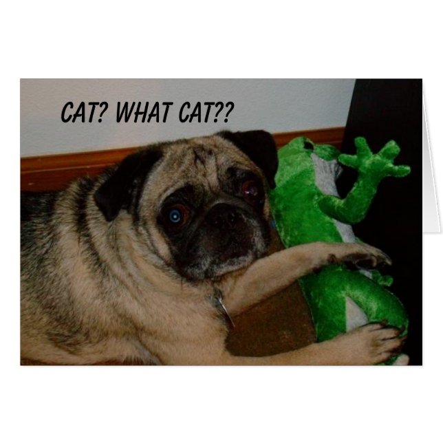 Carte absente de chat (Devant horizontal)