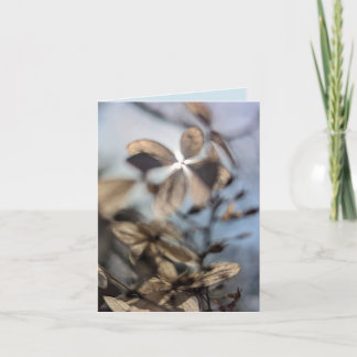 Carte Abstract Hydrangea