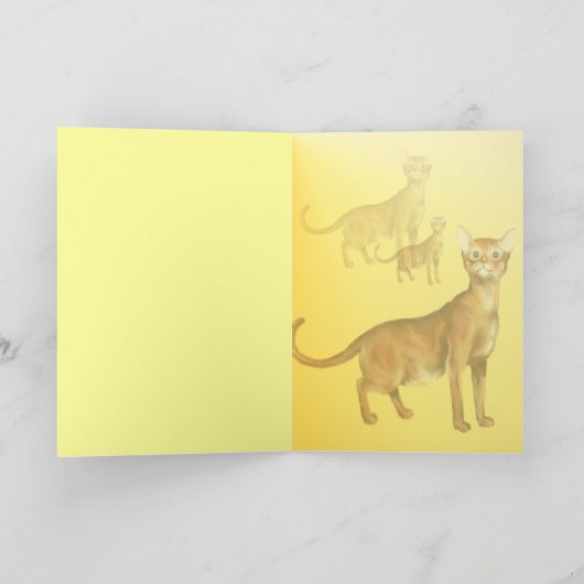 Carte Abyssinian (Intérieur)