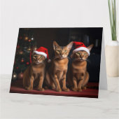 Carte Abyssinian près de la cheminée Noël (Devant)