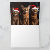 Carte Abyssinian près de la cheminée Noël (Intérieur)