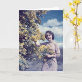 Carte Acacia à Canberra - rétro (Fleur jaune)