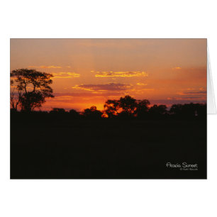 Carte Acacia Sunset Note