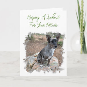 Carte Accompagnateur photo de chien de bétail vous manqu