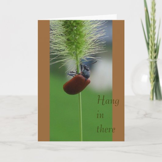 Carte Accrochez-vous (Devant)