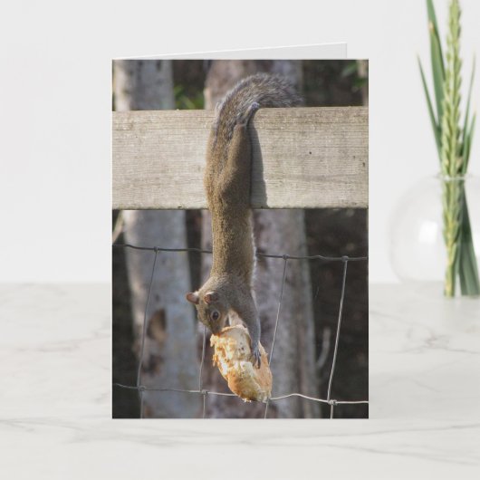 Carte Accrochez-Vous Là Bébé (Vierge À L'Intérieur) (Devant)