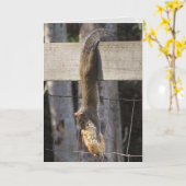 Carte Accrochez-Vous Là Bébé (Vierge À L'Intérieur) (Fleur jaune)