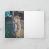 Carte Accrochez-vous là, Écureuil accroché à la mangeoir (Intérieur)