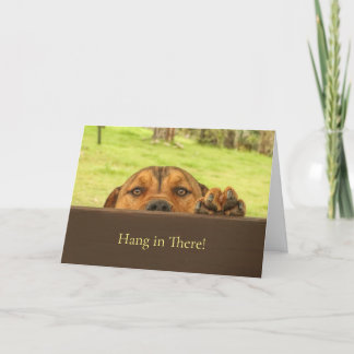 Carte Accrochez-Vous Là Encouragement Petit Pitbull Chie