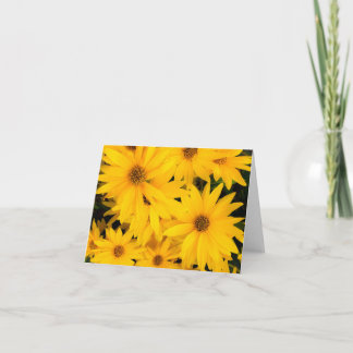 Carte accueil/carte de remerciements vide