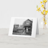 Carte Accueil Chats Fairbanks Alaska 1916 (Fleur jaune)