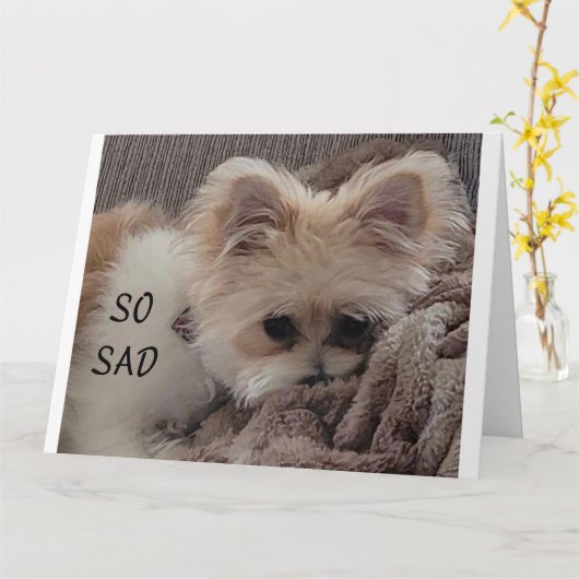 CARTE ACROSS THE MILES FOR ***YOUR BIRTHDAY** (Fleur jaune)