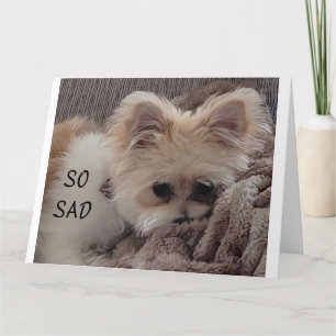 CARTE ACROSS THE MILES FOR ***YOUR BIRTHDAY**