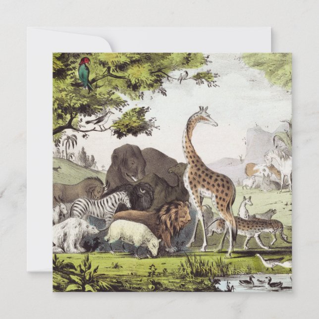 Carte Adam nomme les créatures (Devant)