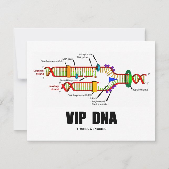 Carte ADN VIP (Humour de réplication de l'ADN) (Devant)