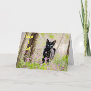 Carte Adopter un abri pour chats Feral Cat PSA Card