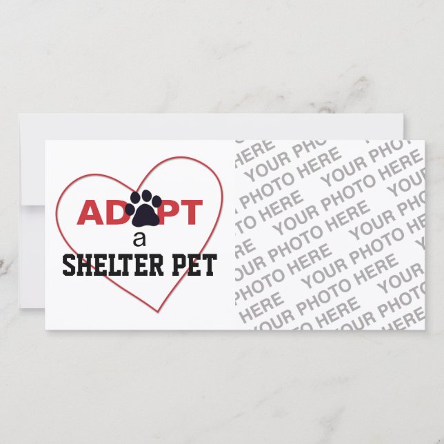 Carte Adopter un animal domestique (Devant)