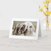 Carte adoption, adoption, adoption, photographie, (Fleur jaune)