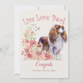 Carte Adoption de Cavalier King Charles Spaniel, Gotcha (Devant)