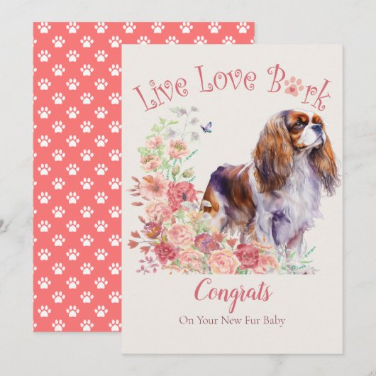 Carte Adoption de Cavalier King Charles Spaniel, Gotcha (Devant / Derrière)