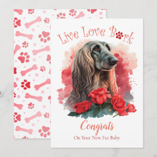 Carte Adoption de chien Afghan Hound, Jour J