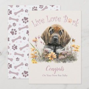 Carte Adoption de chien Bloodhound, journée Gotcha