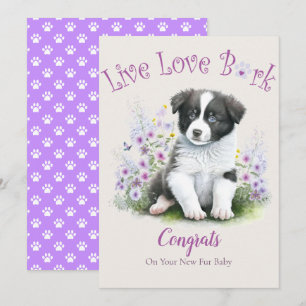 Carte Adoption de chien Border Collie, Jour J'ai été ado