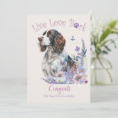 Carte Adoption de chien Springer Spaniel, Jour J'ai Craq (Debout devant)