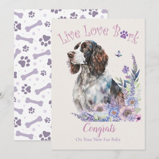 Carte Adoption de chien Springer Spaniel, Jour J'ai Craq (Devant / Derrière)