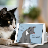 Carte Adoption de maman chat