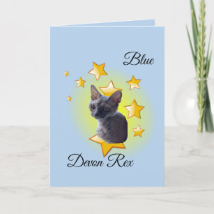Carte Adorable Blue Devon Rex Digital Star