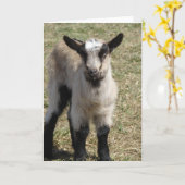 Carte adorable chèvre de bébé (Fleur jaune)
