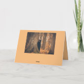 Carte Adorable Fête des pères d'ours noir (Dos)