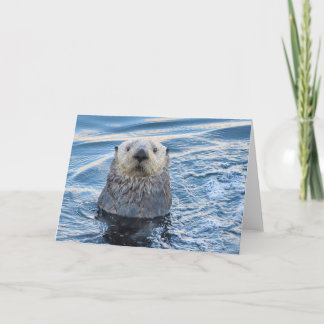 Carte Adorable Peeks De Loutres De Mer