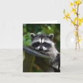 Carte adorable Raccoon Baby ! (Fleur jaune)