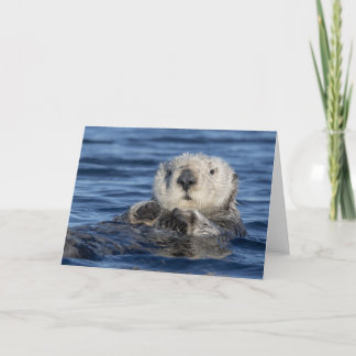 Carte adorable Sea Otter