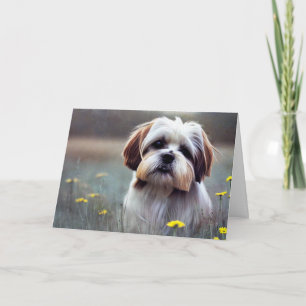 Carte Adorable Shih Tzu Anniversaire